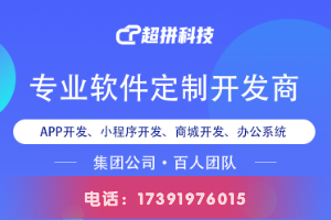 超拼科技 OA系统开发